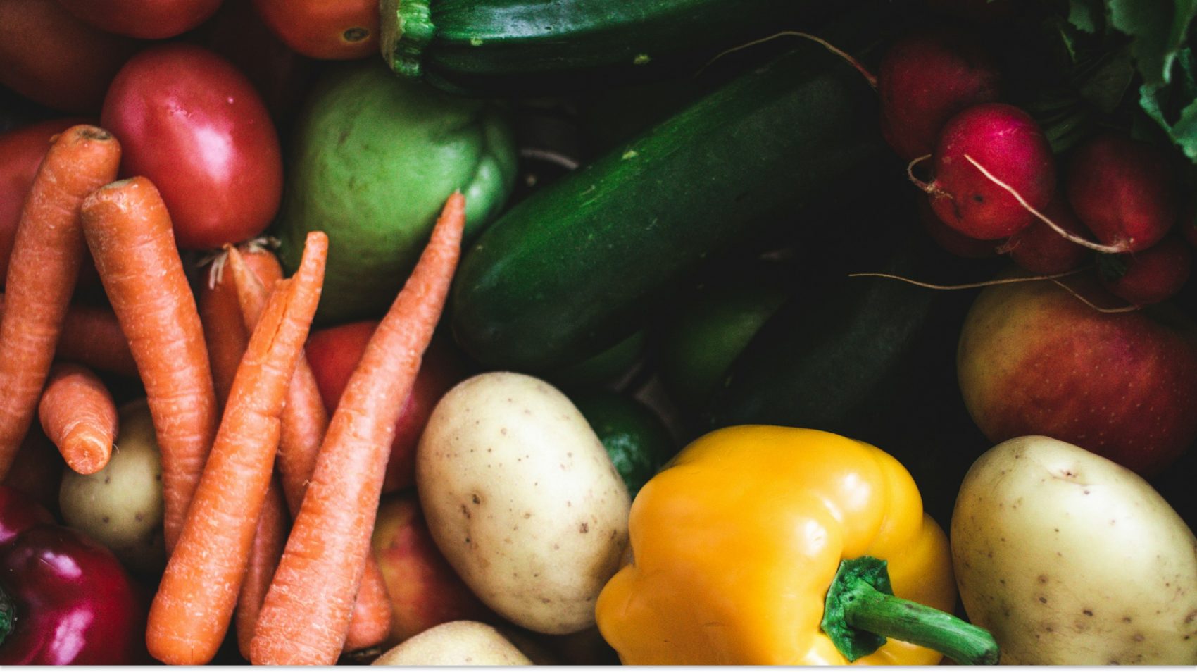 Alimentación